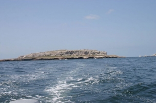 Buceo en Bahía de Banderas